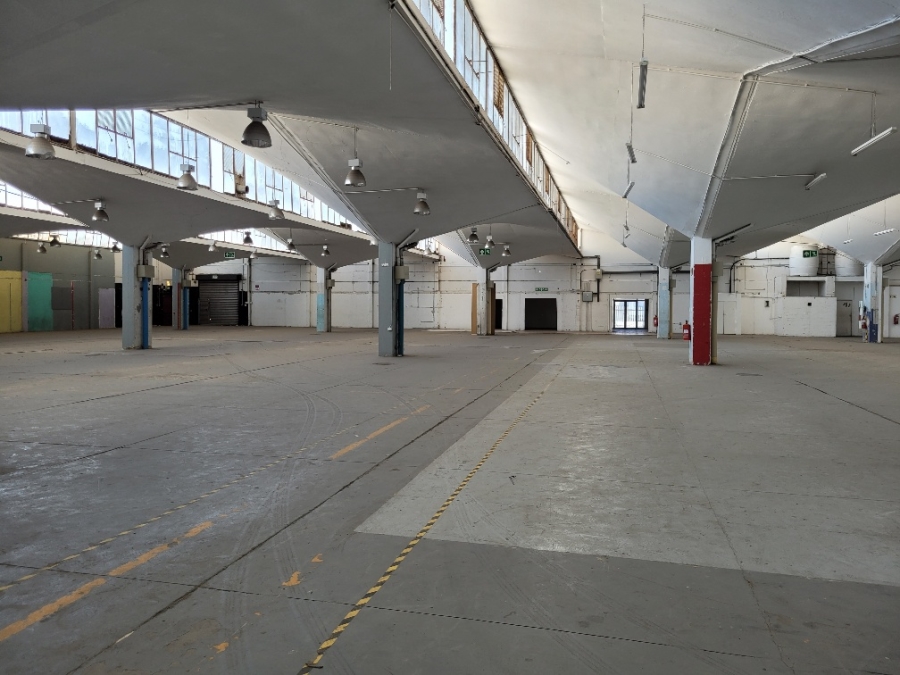 Commercial Property for Sale in Epping Industrial Western Cape